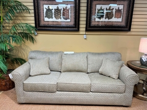 Transitional Sleeper Sofa