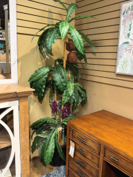 Tropical Tree In Basket