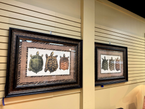 Bassett Turtles Trio Art