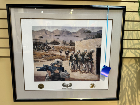 Jim Ryan Air Assault Art